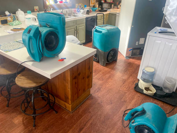 Best Water damage restoration near me  in Brusly, LA