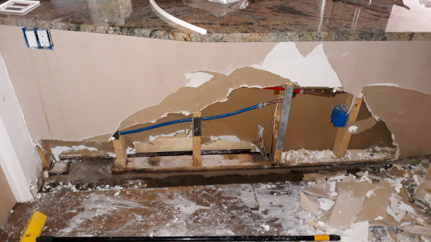 Best Flood damage cleanup  in Brusly, LA