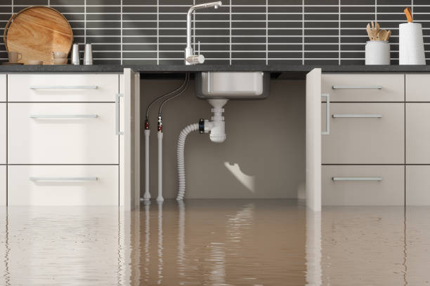  Brusly, LA Water damage restoration Pros