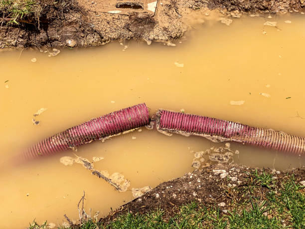 Best Carpet water damage restoration  in Brusly, LA