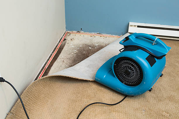 Best Water damage restoration specialists  in Brusly, LA
